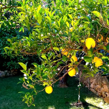 Studio Apartment Simba Guest house Dubrovnik