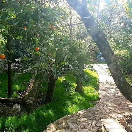 Studio Apartment Simba 3* Dubrovnik